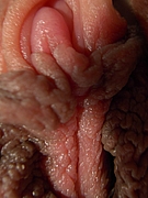 hairy pussy amateur teens