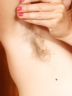 Aden Hairy Kitten