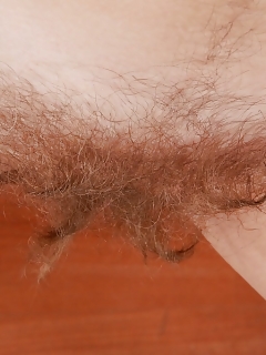 Lena Hairy Mexican Pussies Pictures